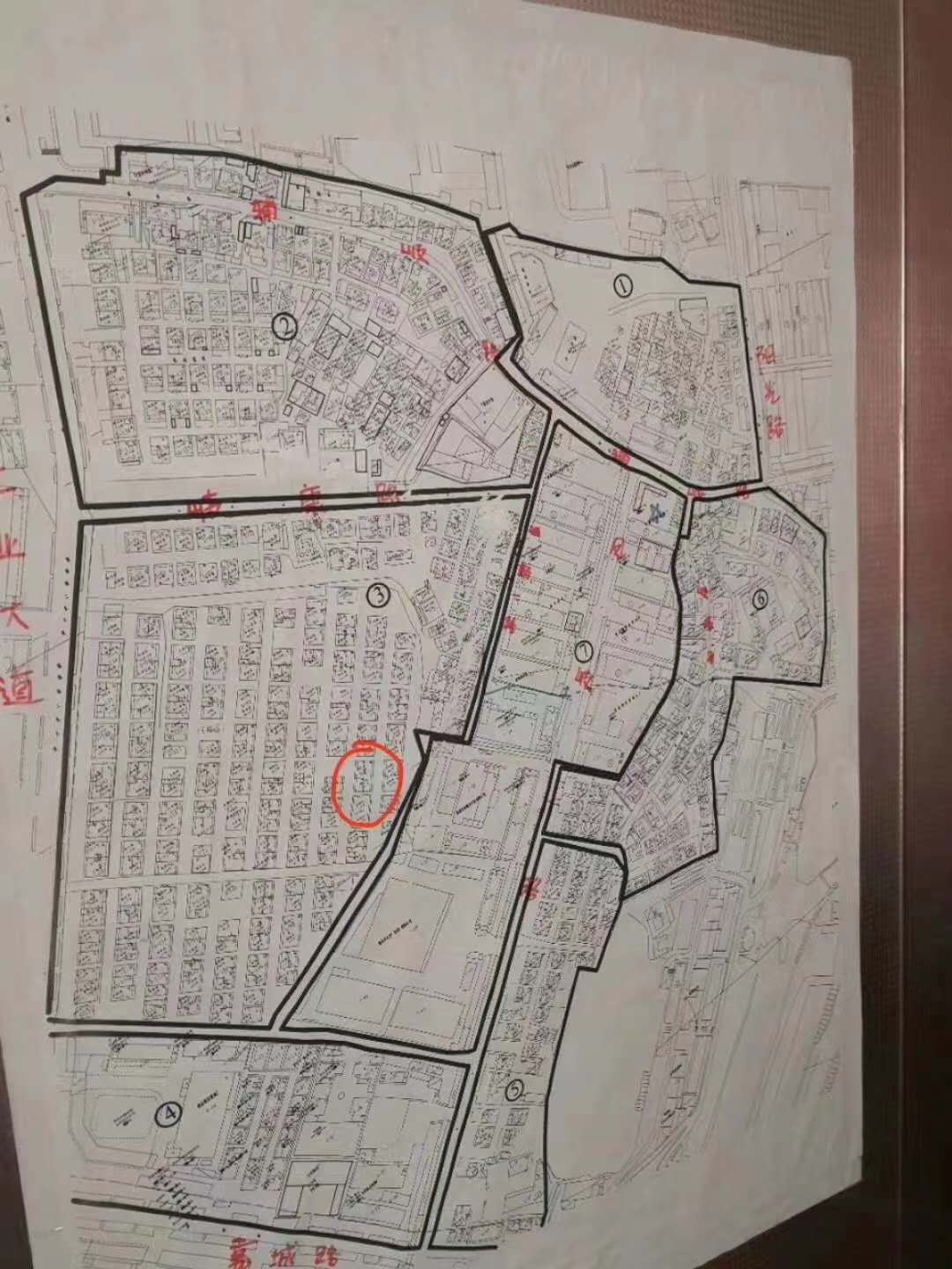 1597838481950338.jpg