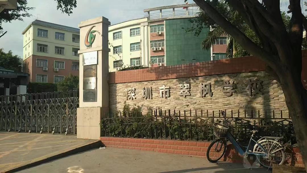 龍崗布吉翠峰學府